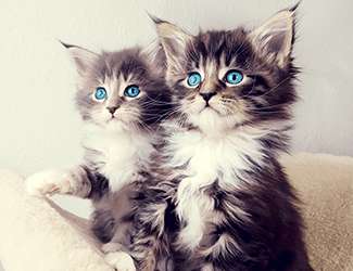 钣金加工技术表面处理需注意的地方有哪些?